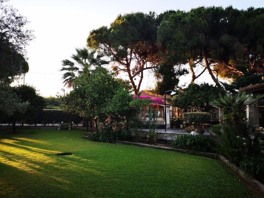 Villa Lena Entire Cottage Kalamaki  Zewnętrze zdjęcie
